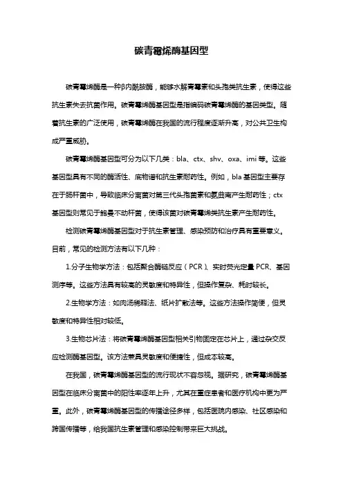 碳青霉烯酶基因型