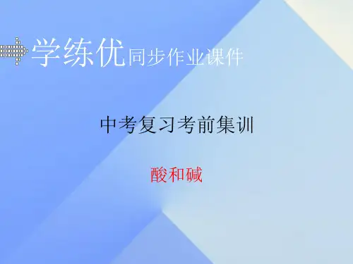 中考化学复习 专题六 酸和碱(小册子) 新人教版