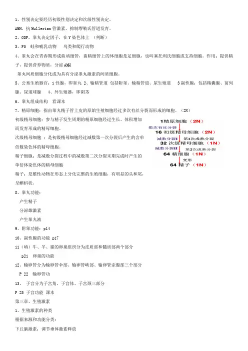 繁殖终结版