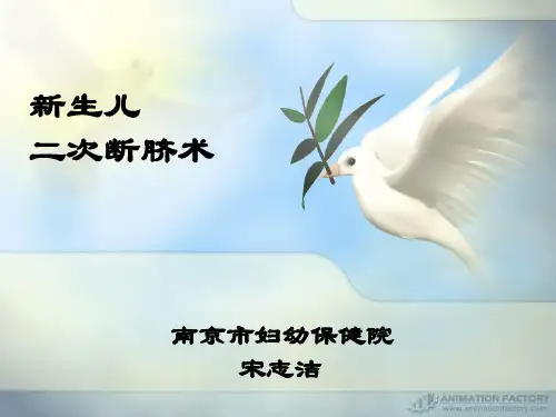 主任二次断脐讲稿