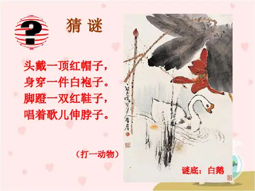 《白鹅》PPT课件