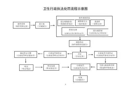 卫生行政执法处罚流程详解