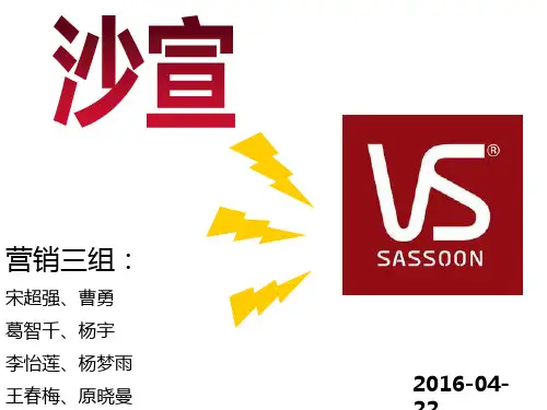 营销沙宣