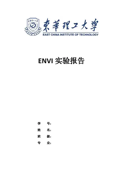 ENVI实习