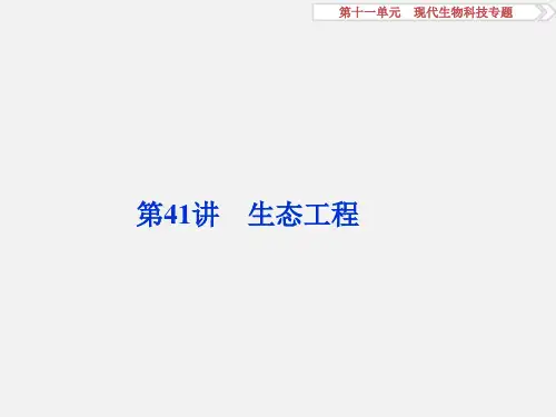 高考生物 一轮复习 第十一单元 现代生物科技专题 第41讲 生态工程