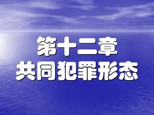 12共同犯罪形态