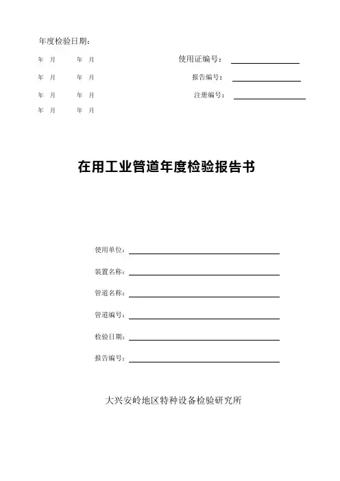 压力管道年度检查报告