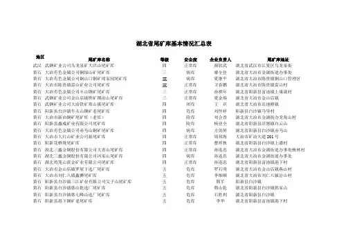 湖北省尾矿库基本情况汇总表(Word)