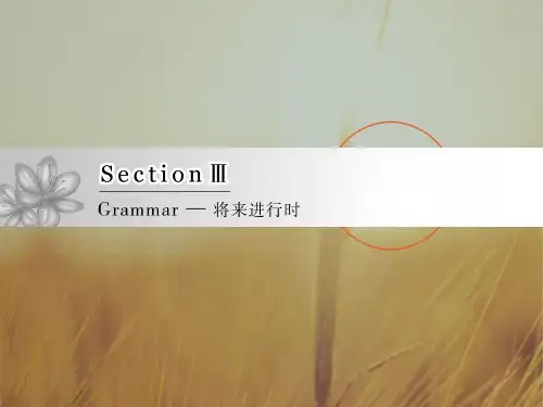 2017-2018学年高中英语外研版必修四课件：Module 1 Section 3 精品