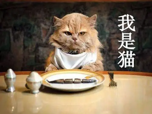 (部审)语文S版五年级上册《六单元  27 我是猫》优质课课件_19
