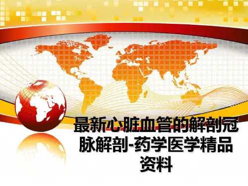 最新心脏血管的解剖冠脉解剖-药学医学精品资料