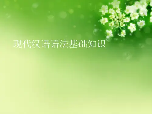 现代汉语语法基础知识优秀课件