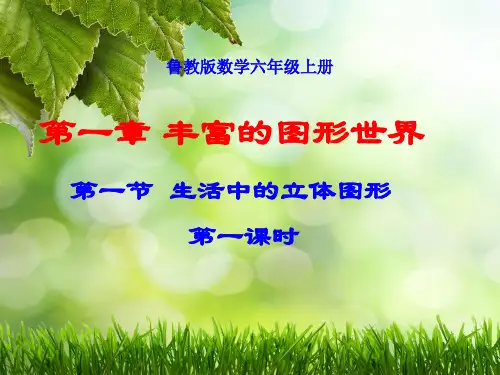 鲁教版初一数学生活中的立体图形1.1-1课件(23张)