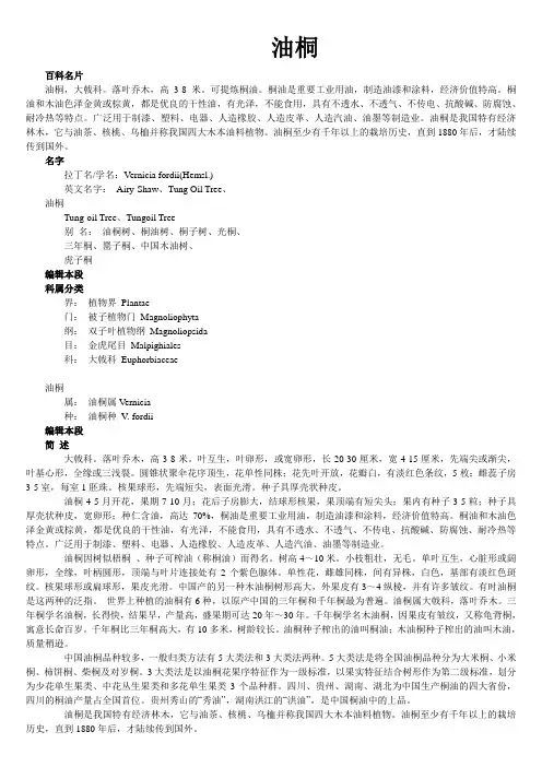 油桐