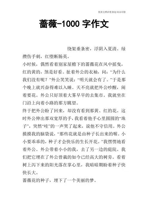 蔷薇-1000字作文
