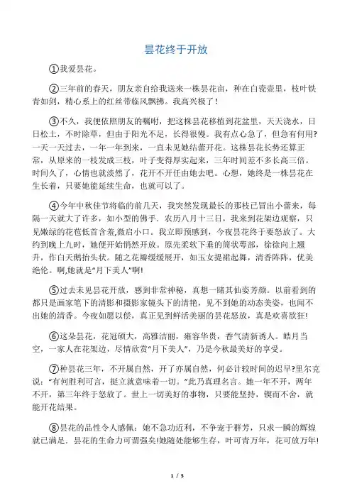 我爱昙花