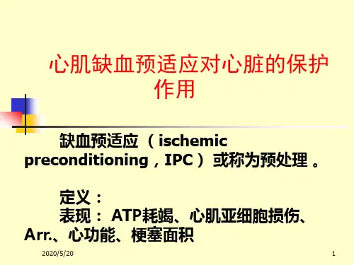 缺血预适应