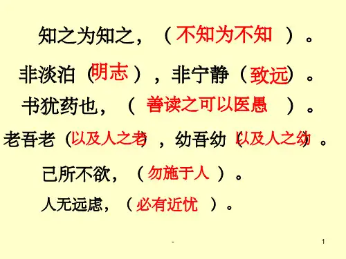 杨氏之子(最新完整版) ppt
