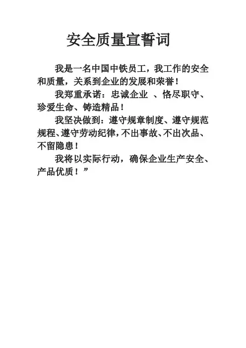 安全质量宣誓词