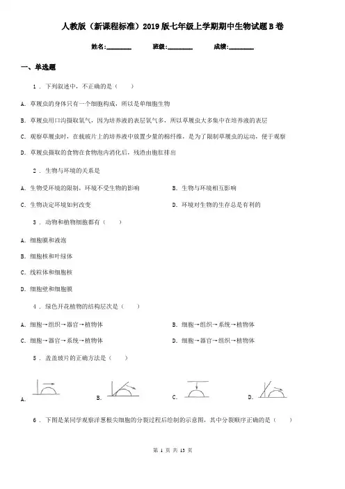 人教版(新课程标准)2019版七年级上学期期中生物试题B卷新版