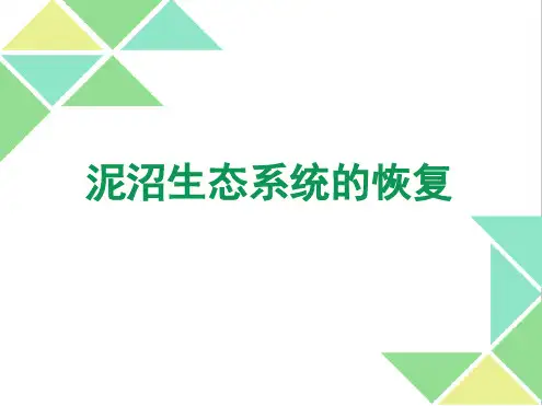 湿地生态系统的恢复
