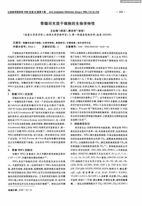 骨髓间充质干细胞的生物学特性