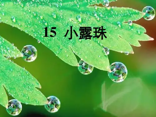 苏教版三年级语文上册《小露珠》课件