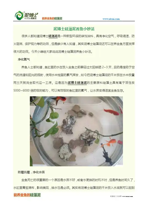 泥博士硅藻泥养鱼小妙法