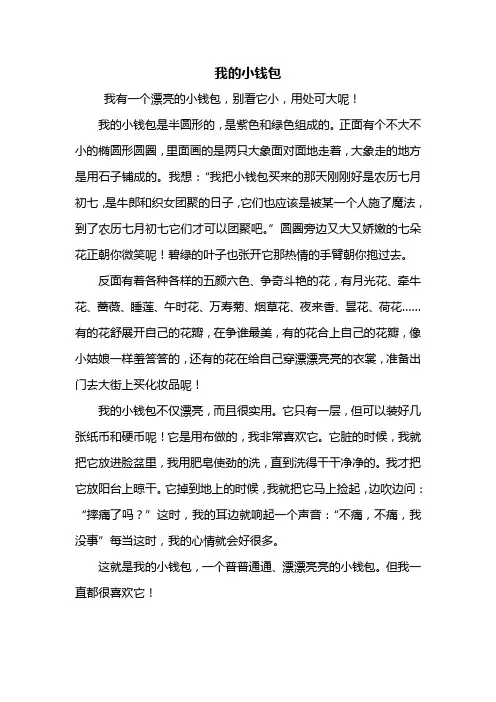 四年级作文：我的小钱包作文500字