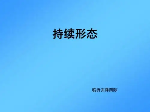 持续 形态