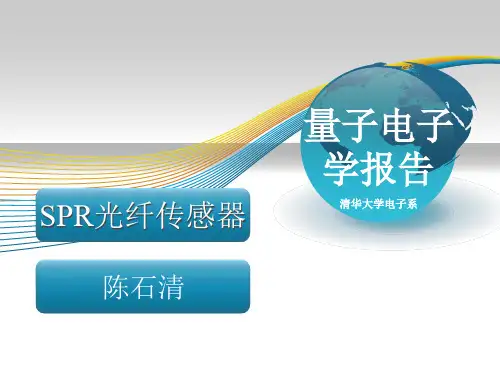 SPR光纤传感器