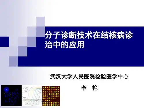 分子诊断技术在结核病诊治中的应用ppt课件