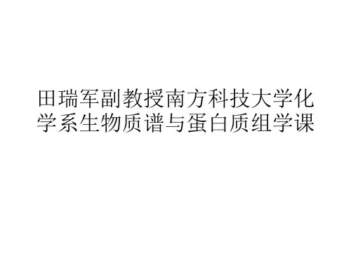田瑞军副教授南方科技大学化学系生物质谱与蛋白质组学课