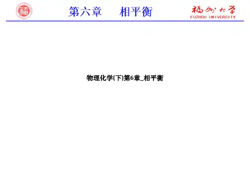 物理化学(下)第6章_相平衡
