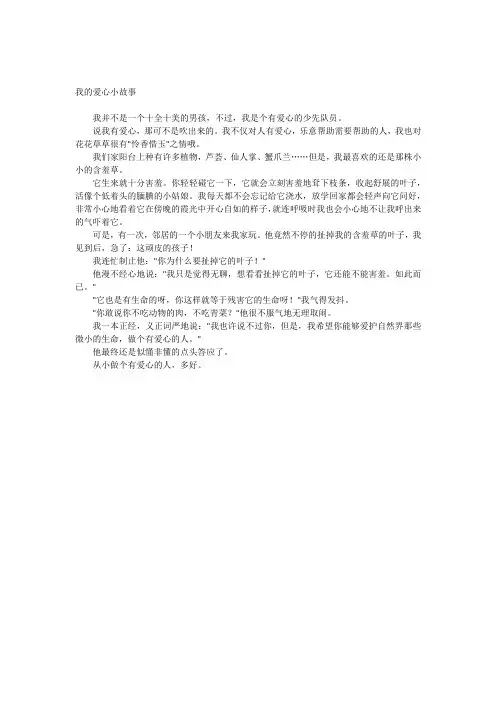 我的爱心小故事
