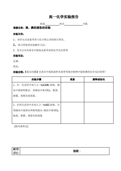 高一化学必修探究实验报告