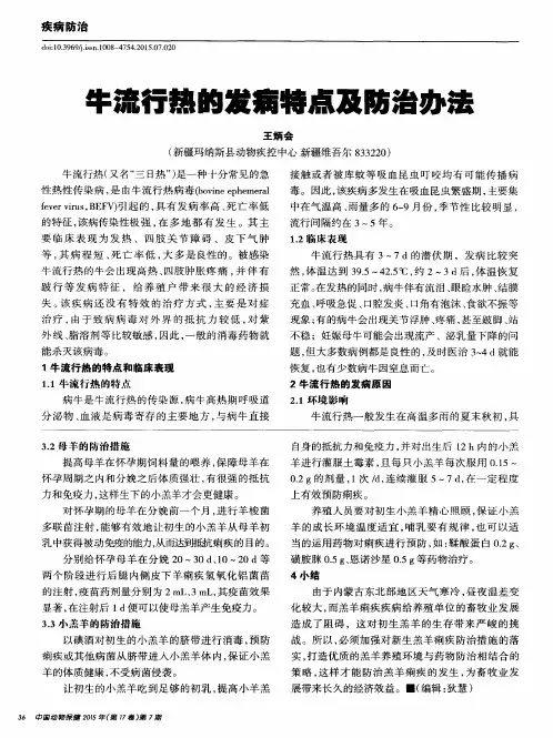 牛流行热的发病特点及防治办法