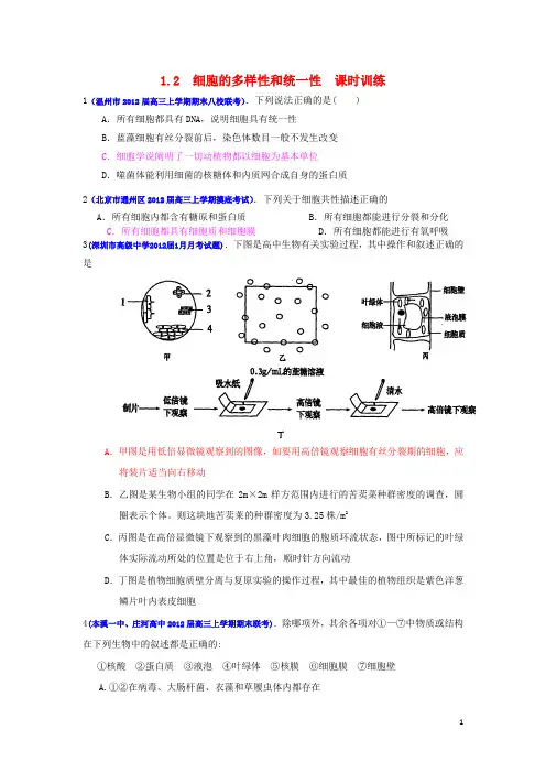 2013届高三生物一轮复习 分子与细胞 1.2 细胞的多样性和统一性课时训练 新人教版