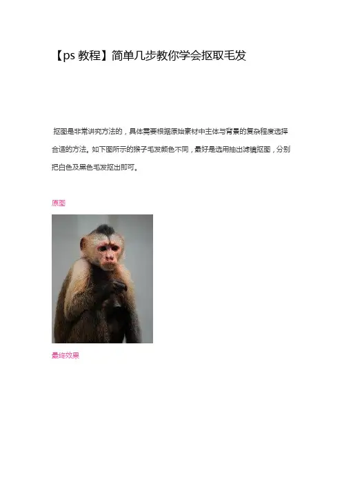 【ps教程】简单几步教你学会抠取毛发