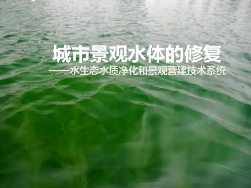 水生态修复系统介绍分解
