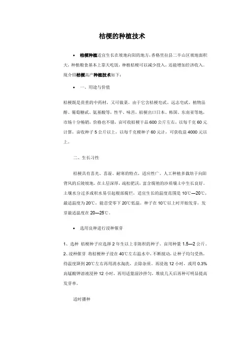 桔梗种植技术 3