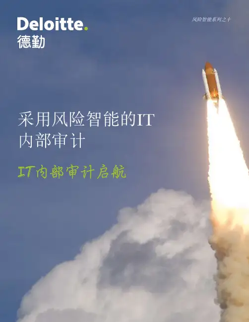 IT内部审计