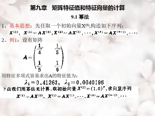 第九章矩阵特征值和特征向量的计算