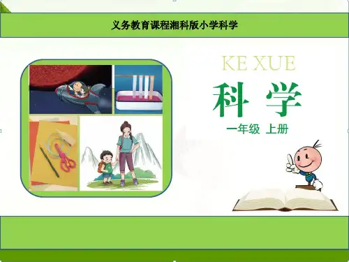湘科版科学一年级上册课件:找物体的相同和不同课件(1)