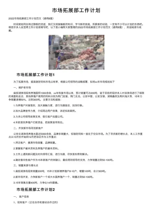 市场拓展部工作计划