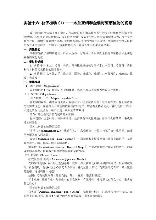 被子植物(1)——木兰亚纲和金缕梅亚纲植物的观察
