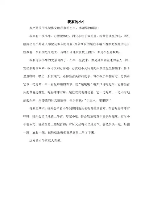 我家的小牛_小学作文