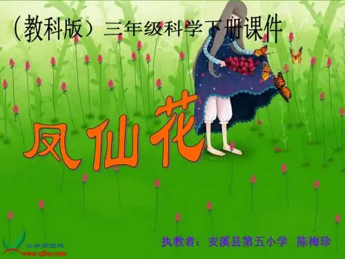 三下科学《凤仙花》课件