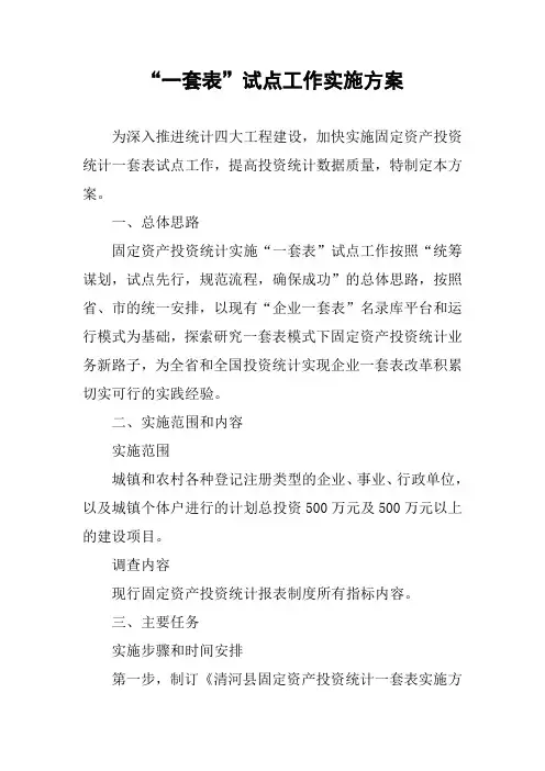 “一套表”试点工作实施方案