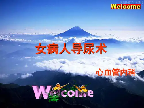 女病人导尿术